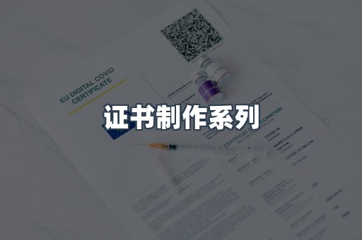 仿制证件24小时